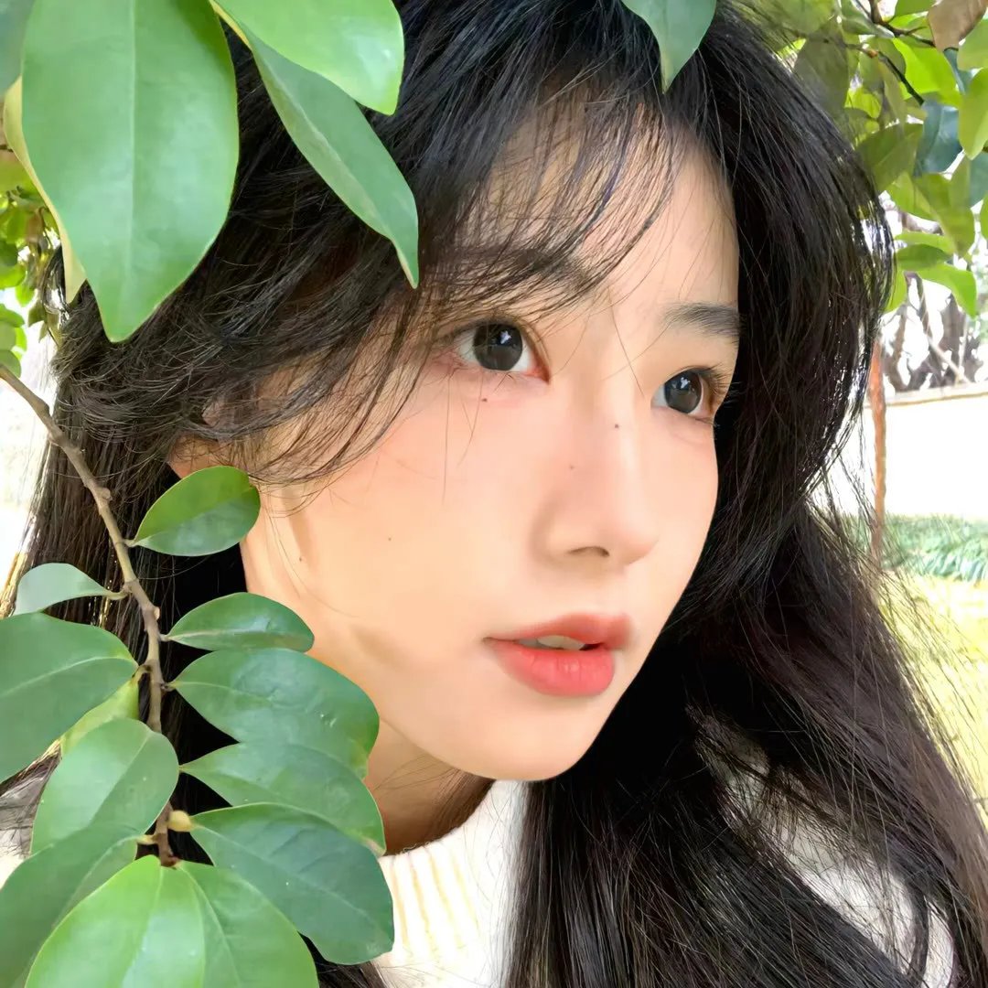 名门二淑女之心之万生祈恋